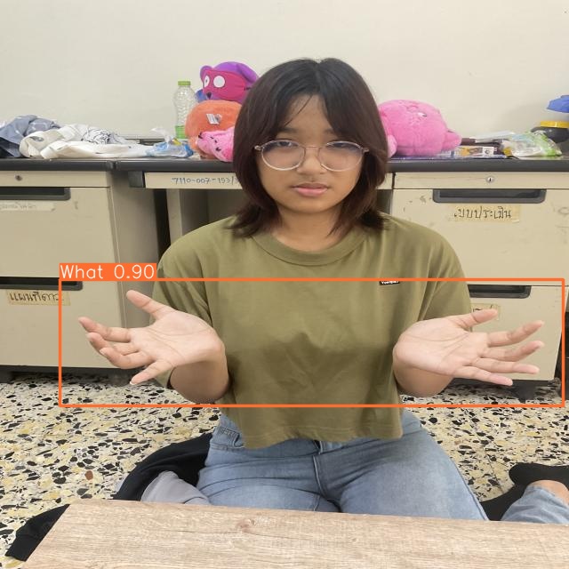 Sign Language Detection